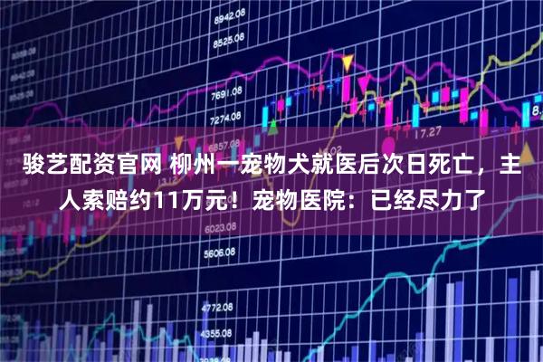 骏艺配资官网 柳州一宠物犬就医后次日死亡，主人索赔约11万元！宠物医院：已经尽力了